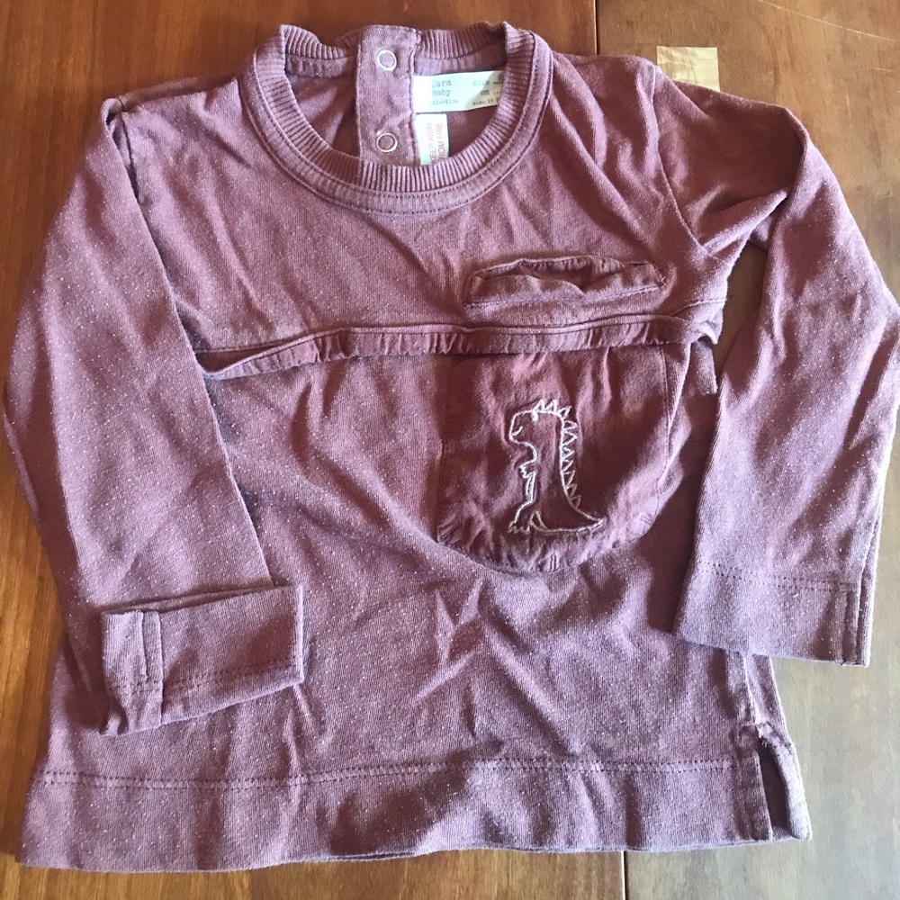 Zara 9-12M Dino shirt